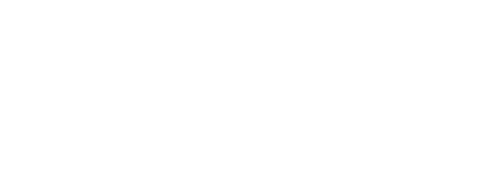 Lele Gestor